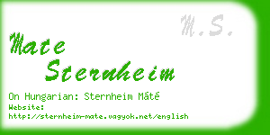 mate sternheim business card